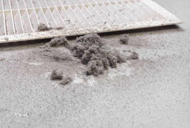 Best Air Duct Cleaning Near Me  in Toledo, OH