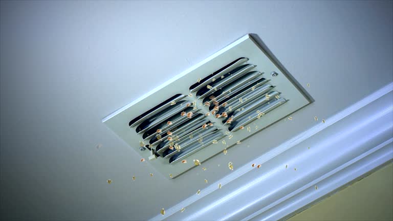 Best Air Duct Sanitizing Services  in Toledo, OH