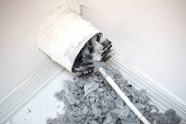 Best Air Vent Cleaning Services  in Toledo, OH